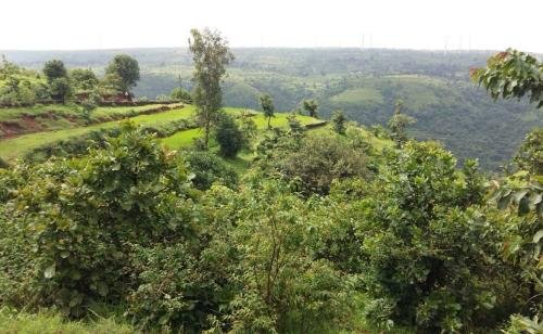 WhatsApp-Image-2018-01-10-at-4.51.53-PM-1170x720