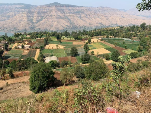 residential_plot-for-sale-panchgani_1-Mahabaleshwar-plot_view