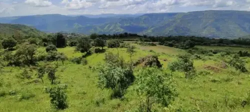 386289622M-1665380516085